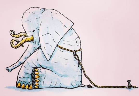 Çözümsüz Problem Yoktur