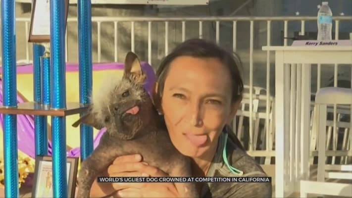 Dünyanın En Çirkin Köpeği, Mr. Happy Face