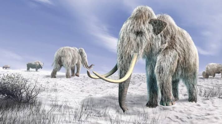 Küresel ısınmayı engelleyen Mamut