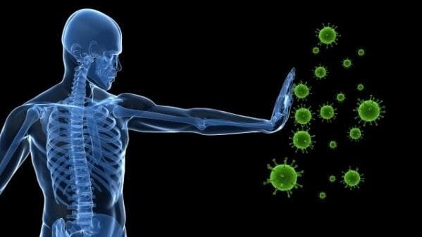 Probiyotik mi, Prebiyotik mi?