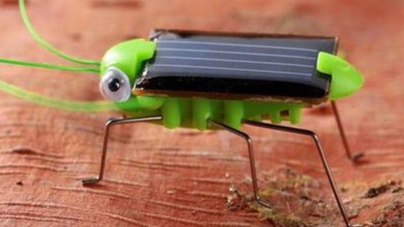 Robotik Yıldırım Böcekleri Uçuşa Geçiyor