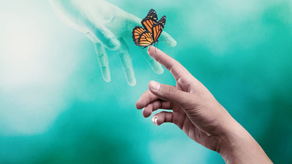 Ölümden Sonra Yaşam Var Mı?