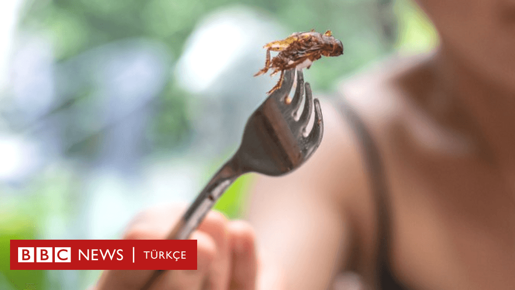 Laboratuvarda Üretilmiş Et ve Böcekler 'Sağlık ve Çevre İçin Faydalı'