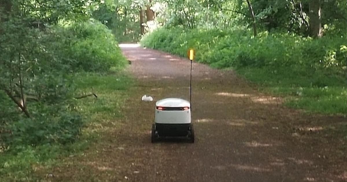 Ormanda "Yolunu Kaybetmiş, Üzgün" Teslimat Robotu Twitter'da Gündem Oldu