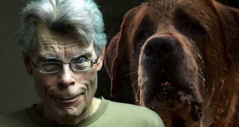 Stephen King "Kujo"nun Devam Kitabını Yazdığını Açıkladı