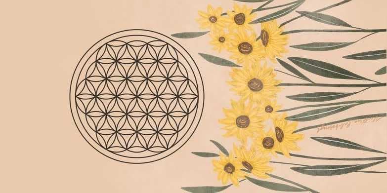 Yaşam Çiçeği Sembolü ve Anlamı