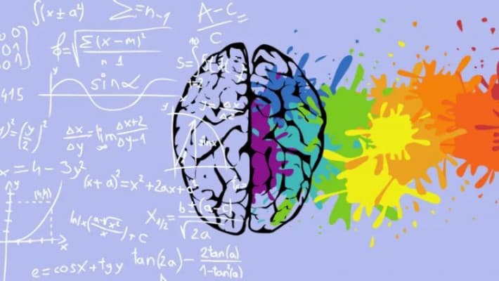 12 çeşit zeka türünden hangileri sizde var?