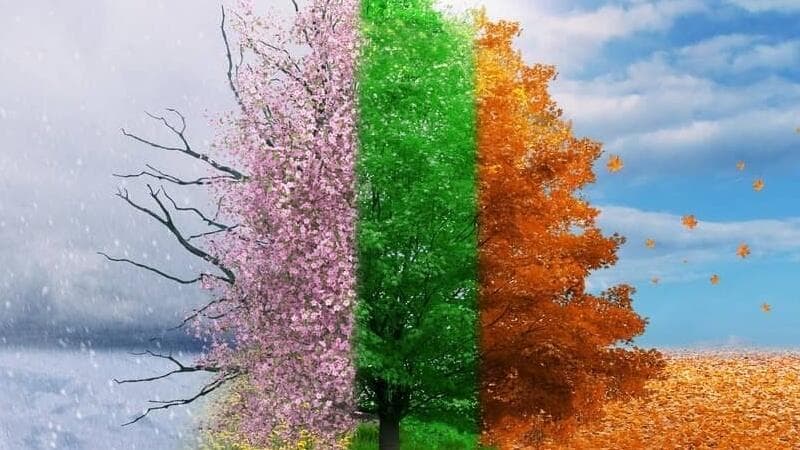 Aylar İsimlerini Nasıl Aldı? Ayların İsimlerinin Kökenleri