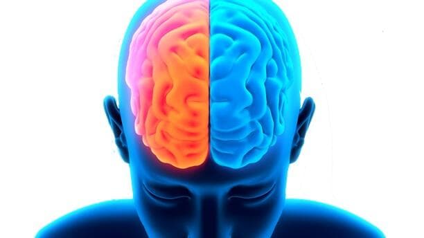 Beynimiz Birden Fazla Dil Konuşmakla Nasıl Başa Çıkıyor?