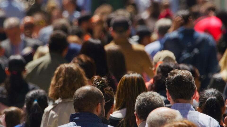 Bu Halka Arza Girilir Mi?