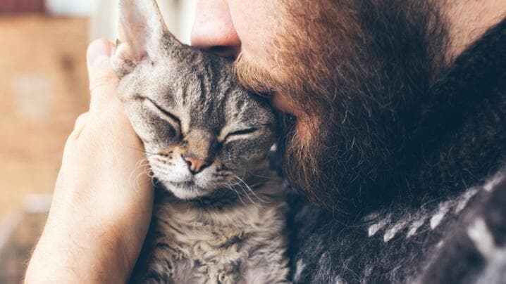 DNA karmaşık, Eski Bir Aşk Hikayesini Ortaya Koyuyor: Kediler ve İnsanlar