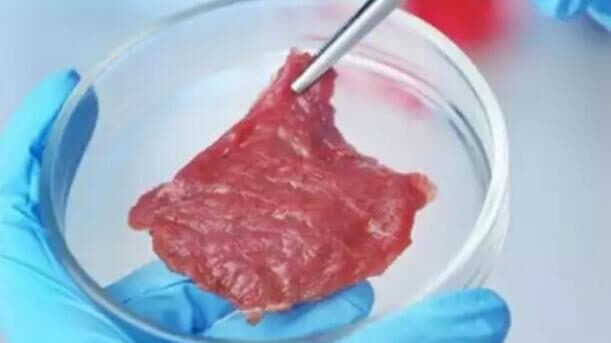 Yapay Et Tüketmek İster Miydiniz?