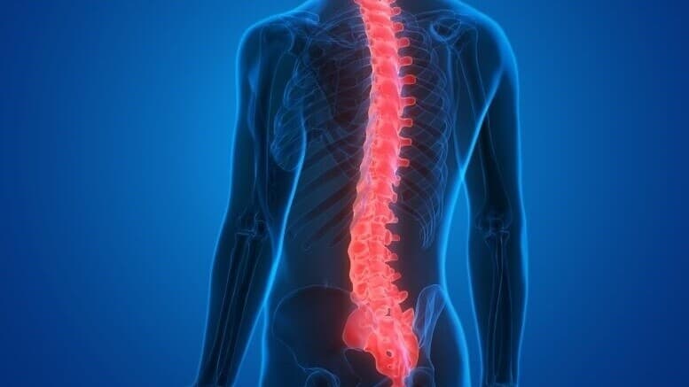 Felci Tersine Çevirmek, Omurilik Yaralanmalarından Sonra Dokuyu Onarmak İçin 'Dans Eden Moleküller' Kullanılıyor