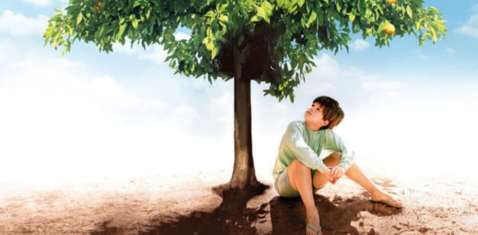 Jose Mauro de Vasconcelos'un Kült Romanı: Şeker Portakalı