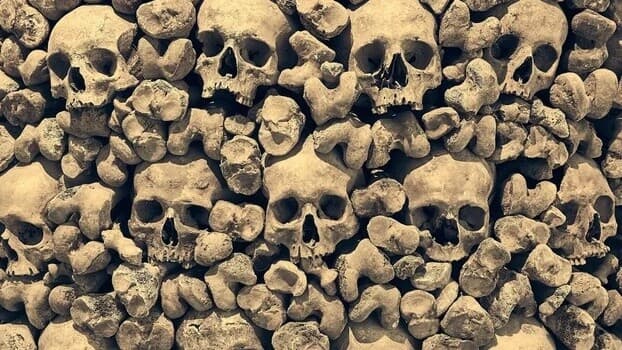 Keşfedilen En Büyük Toplu Mezarlar