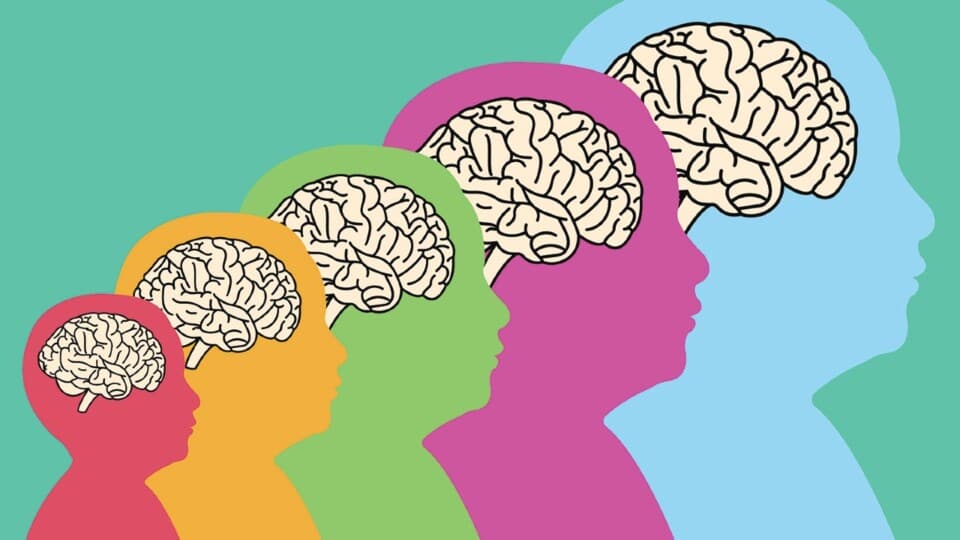 Öğrenme Becerileriyle İlgili Kalıplaşmış Efsaneler Yıkılıyor!