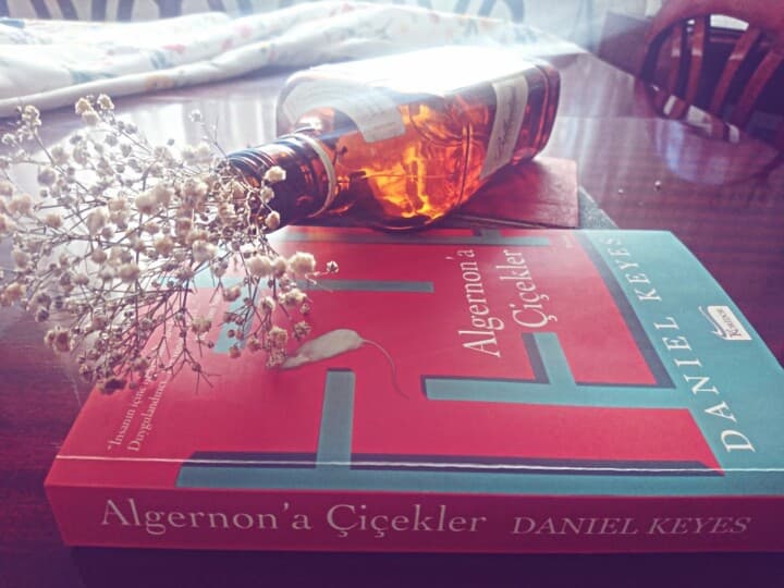 Zekanın İnsan Hayatına Etkisini Anlatan Muhteşem Bir Kitap: Daniel Keyes "Algernon'a Çiçekler"