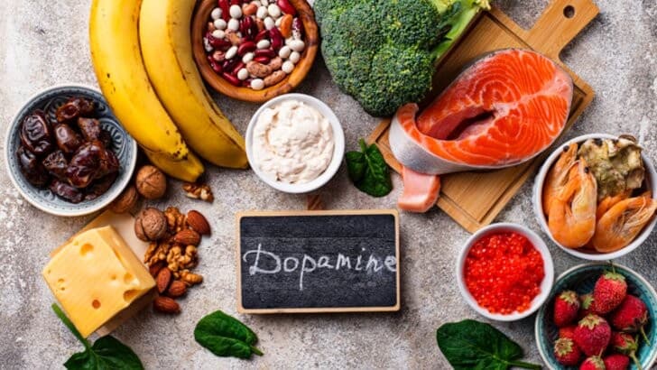 Dopamin Detoksuyla Hayatını Düzene Sokabilirsin