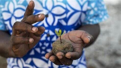 Dünya'nın Ağaçlarını İnceleyen Bilim Adamları İnsanlığa Sert Bir Uyarı Verdi