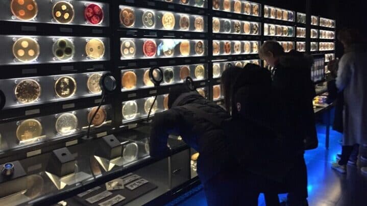 Dünyanın İlk Mikrop Müzesi | Micropia İle Tanışın