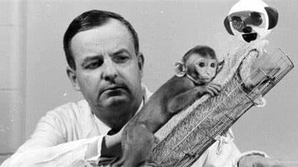 Psikolog Harry Harlow'un Sosyal İzolasyon Deneyleri
