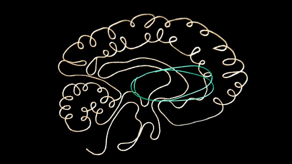 Tourette Sendromu Nedir? | Hakkında Bilmemiz Gerekenler