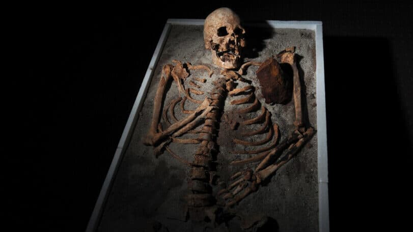 Ürkütücü! Vampir Nedir? Vampir Efsanesi Gerçek Mi?