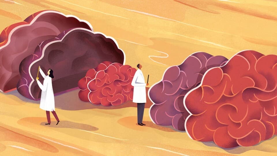 Beynimiz Nasıl Çalışır, Beynimizi Nasıl Güçlendirebiliriz?