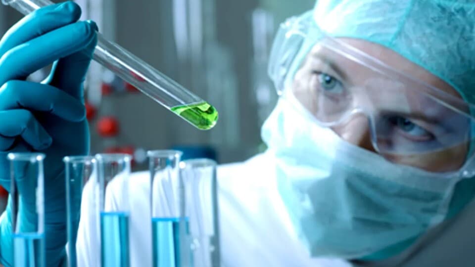 Canlılar Dünyasının Kayıp Halkası: Bilim İnsanları Tüm Karmaşık Yaşam Formlarının Kaynağını Bulmuş Olabilir!