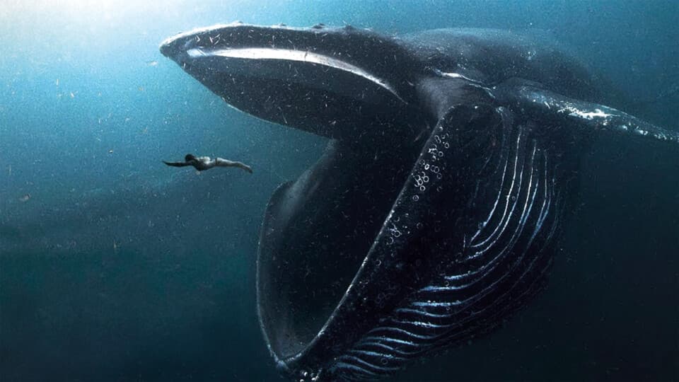 Okyanusların Neden Sadece %5'ini Keşfettik?